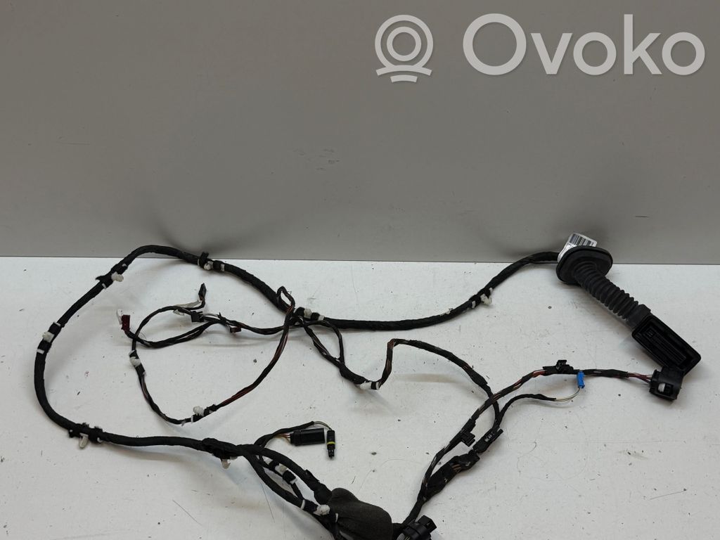 BMW X3 G01 Cableado de puerta trasera 