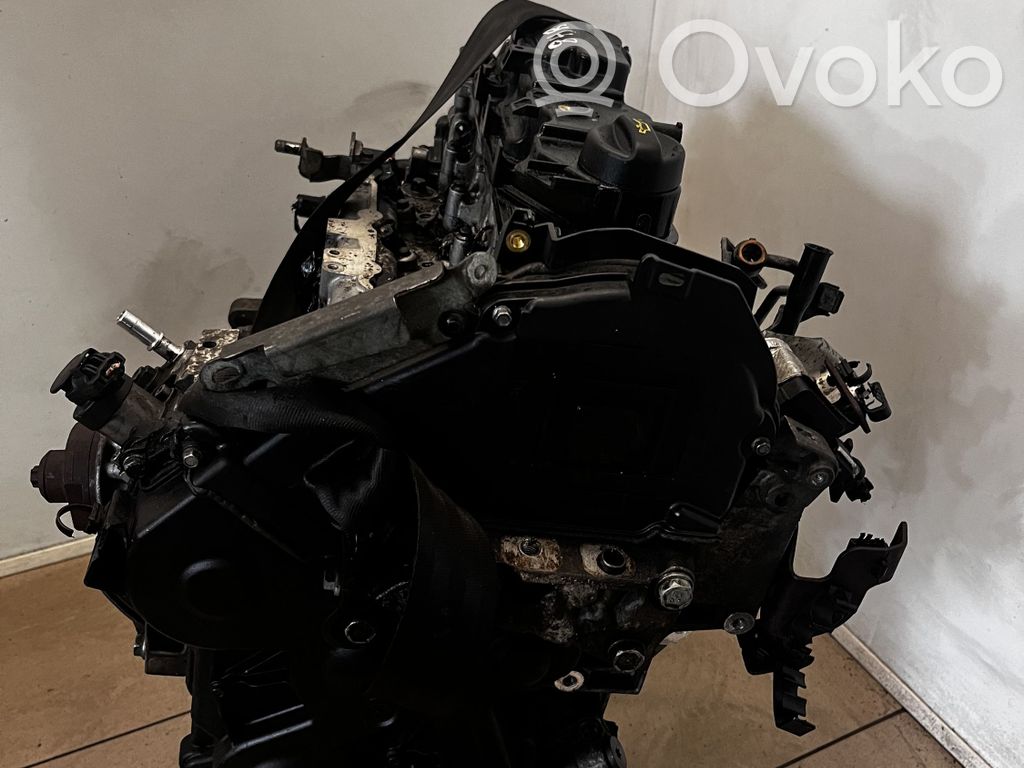 Motor   8HR