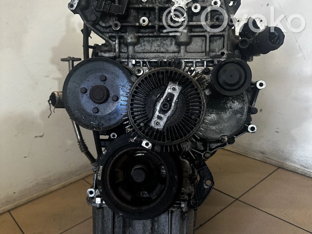 Motor   D20DT