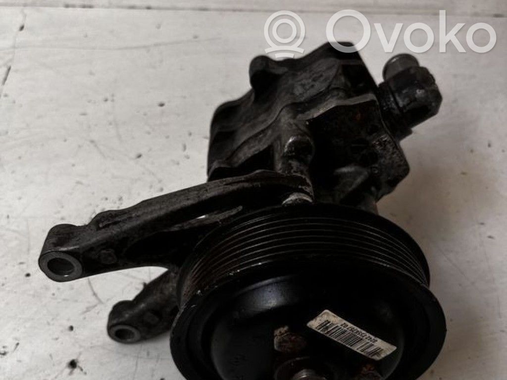 Power steering pump   404564901
