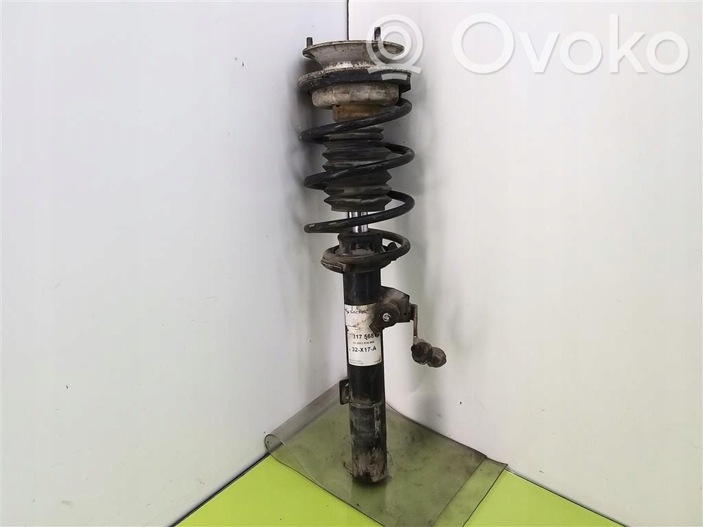 Front shock absorber with coil spring   824903016065