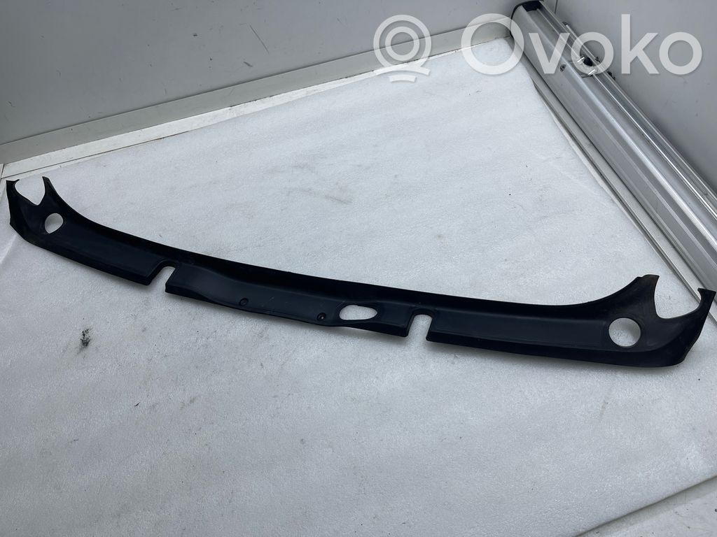 Tesla Model Y Tailgate trim 