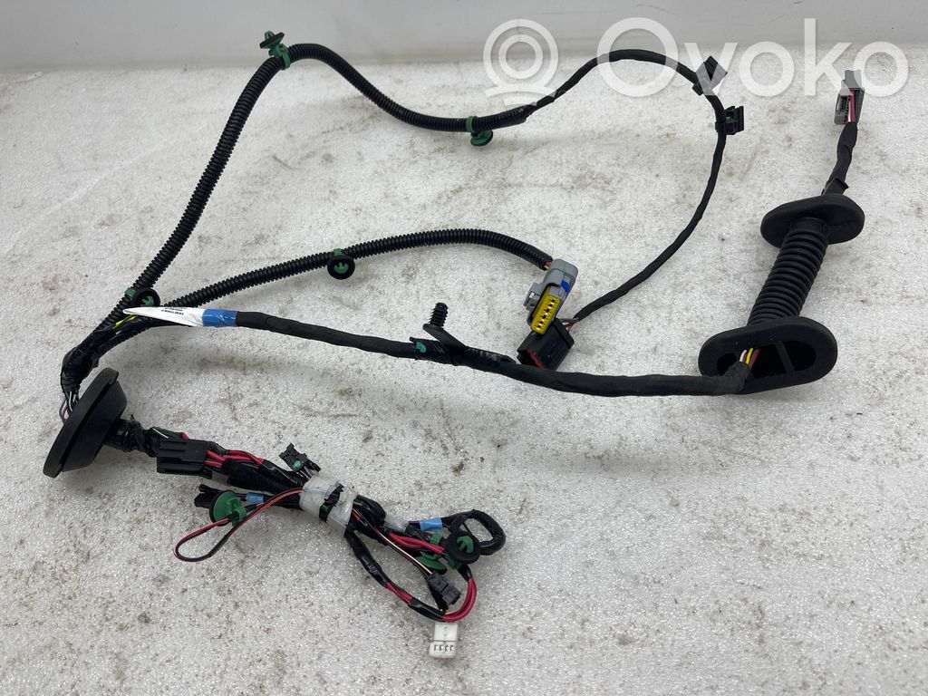 Cableado de puerta trasera   1004426,YZK2Z3312FT0013