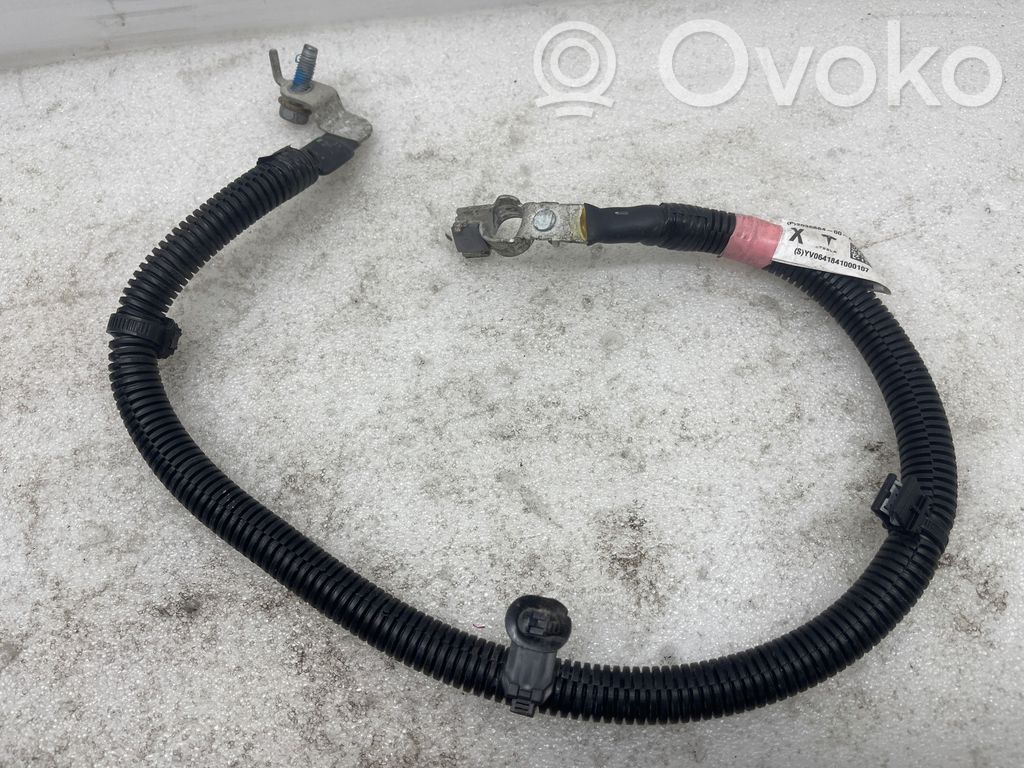 Tesla Model X Negative earth cable (battery) 