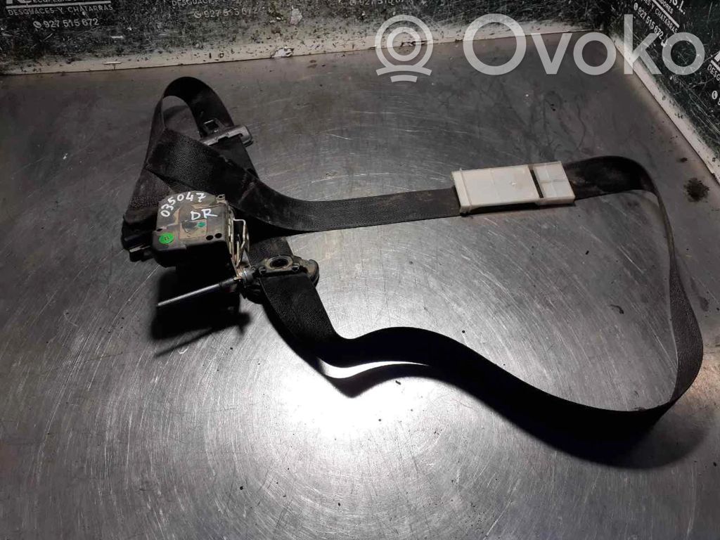 Cinturón delantero   33009758