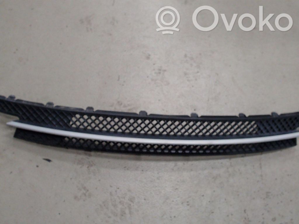 BMW 1 E81 E87 Front bumper lower grill 