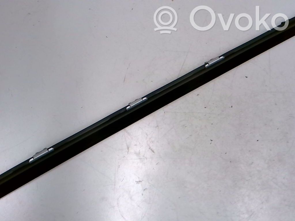 BMW X5 E70 Listwa / Uszczelka szyby drzwi tylnych 
