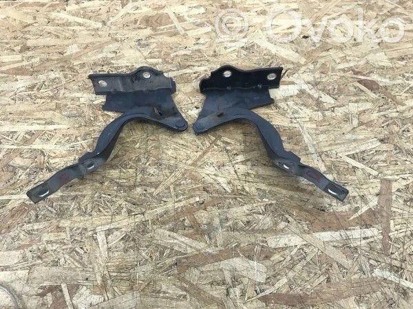 Hyundai Santa Fe Engine bonnet/hood hinges 