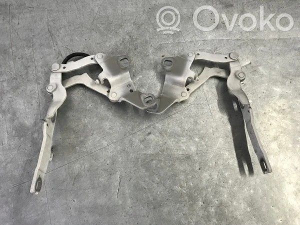 BMW 3 E90 E91 Cerniere del vano motore/cofano 