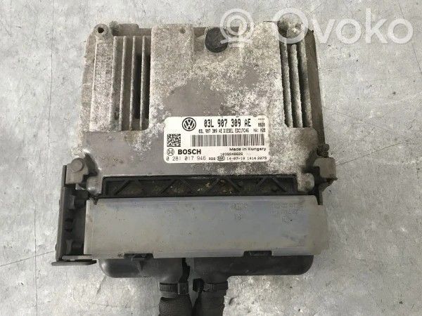 Komputer / Sterownik ECU silnika   03L907309AE,75902