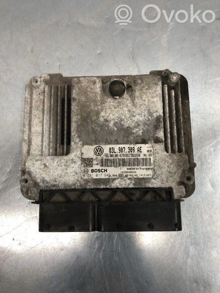 Volkswagen PASSAT B7 Galios (ECU) modulis 