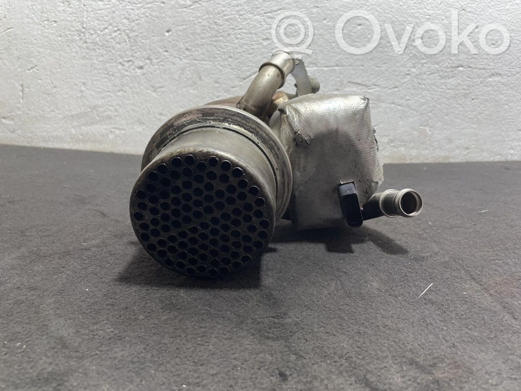 Seat Leon (5F) Valvola di raffreddamento EGR 