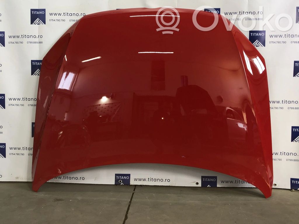 Volkswagen PASSAT B7 Capotă motor 