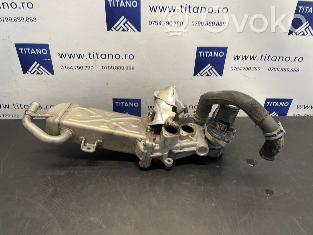 Volkswagen Tiguan Răcitor supapă EGR 