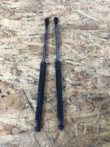 Tailgate/trunk/boot lid buffer   7118370,14387