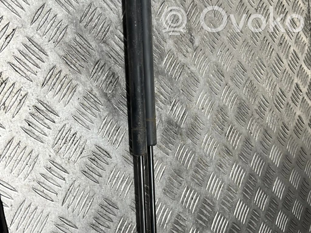 Ford Fusion Amortiguador/puntal del maletero/compartimento de carga 