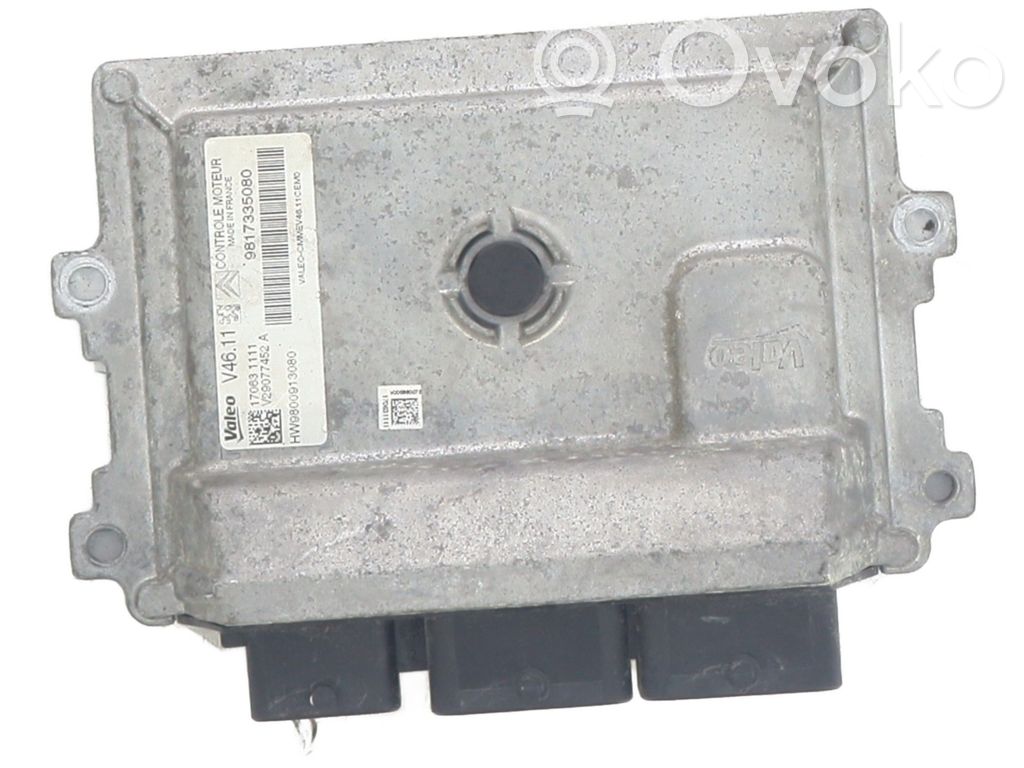 Engine control unit/module   9817335080