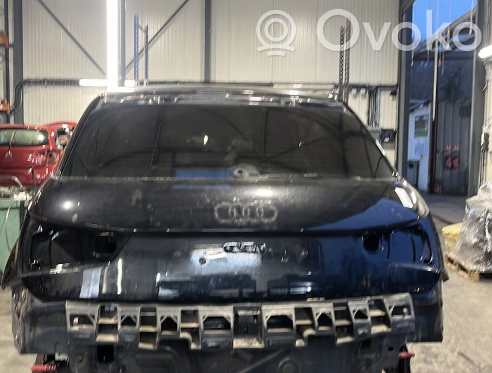Tailgate/trunk/boot lid