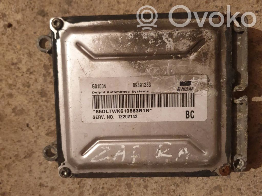 Engine control unit/module   09391283,12202143,G01004