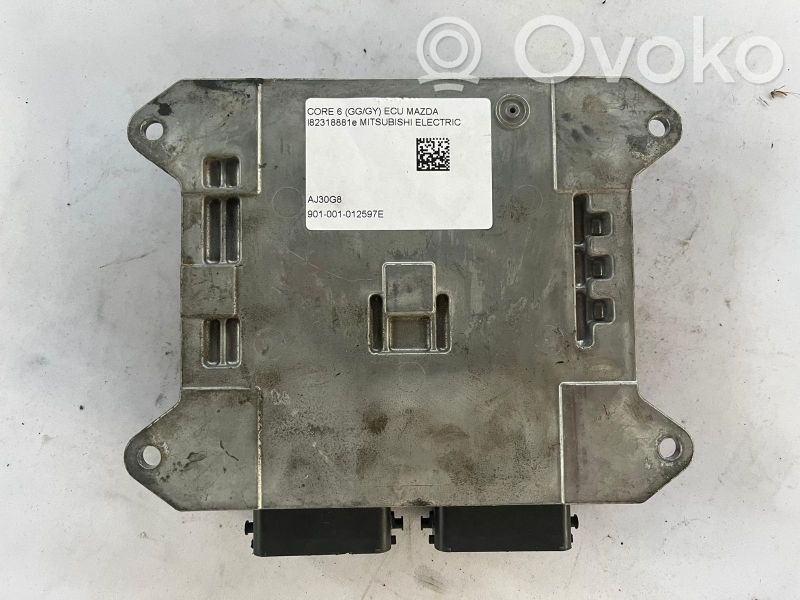 Moottorin ohjainlaite/moduuli   E6T53976HS1,E6T53976HS1,001001012597E,E6T53976HS1