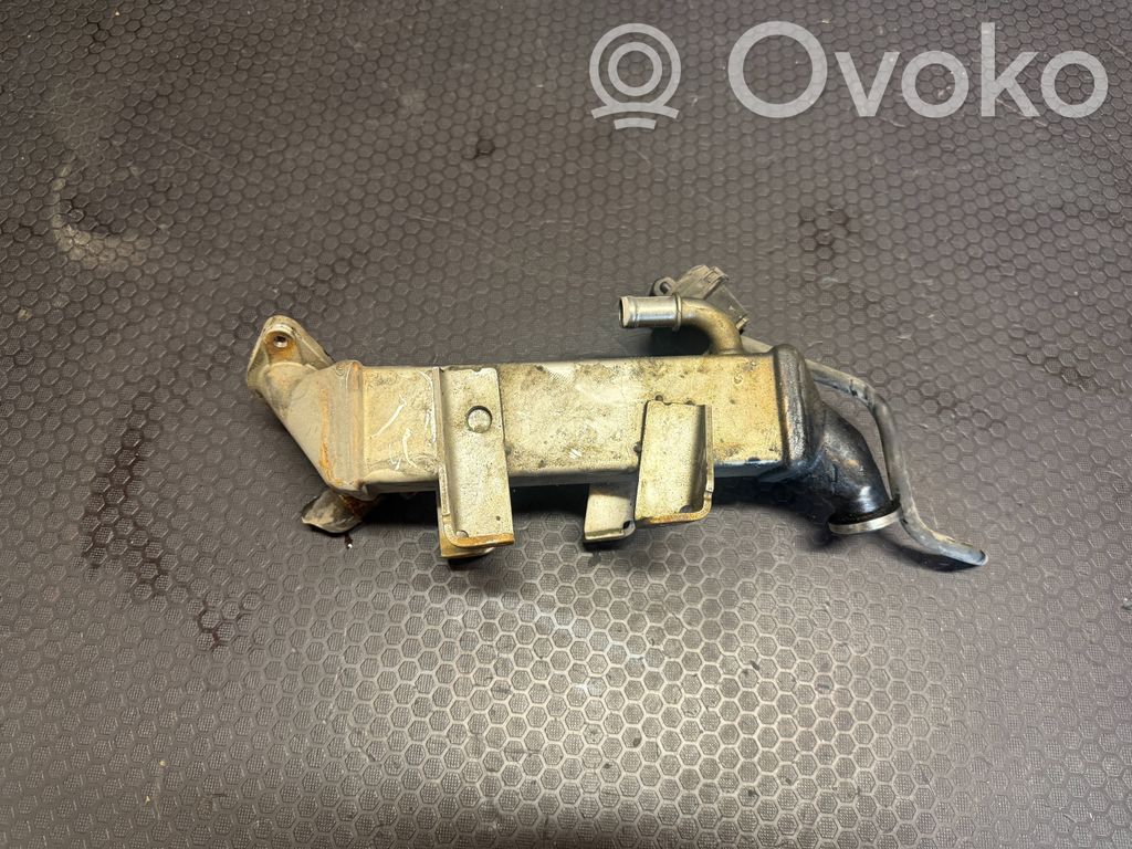Opel Vivaro Refrigerador de la válvula EGR 