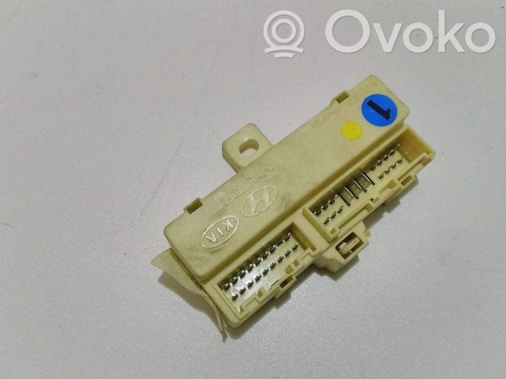 KIA Carens II Fuse module 