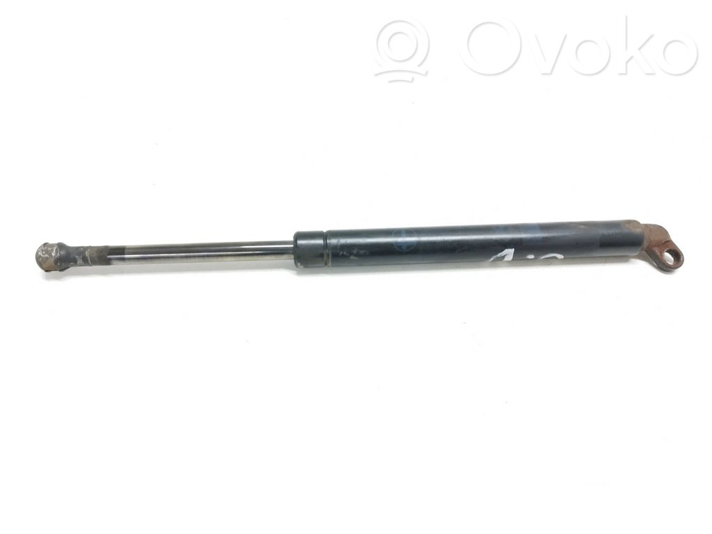 Tailgate/trunk strut/damper   056070
