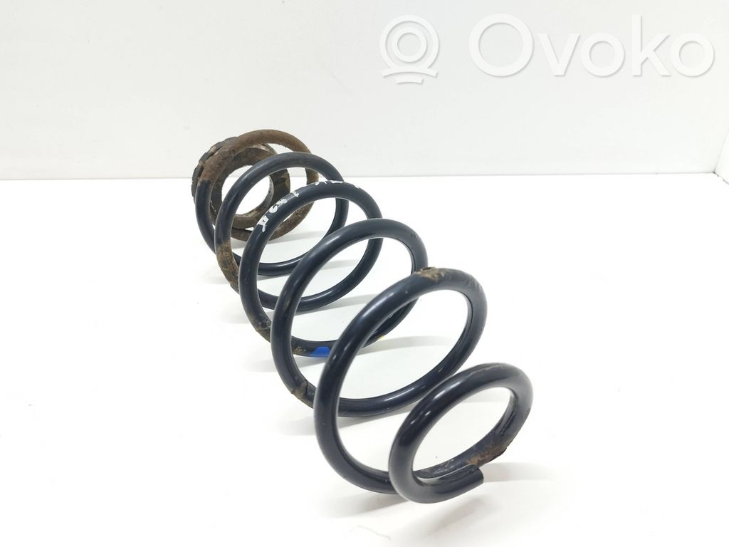 Rear coil spring