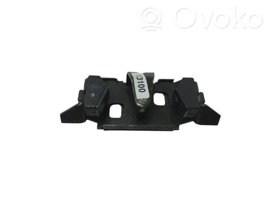 Trunk lock loop   1372999