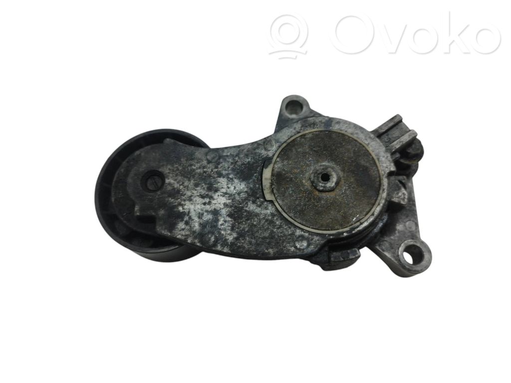 Tensor de correa del alternador   846143