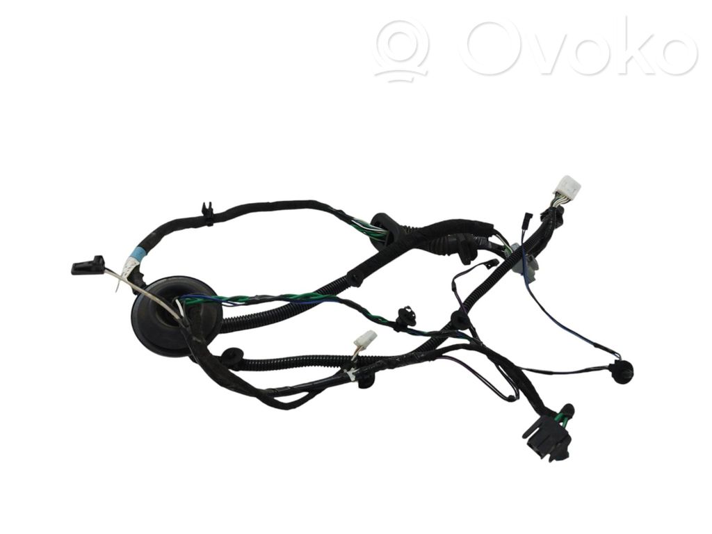Tesla Model S Cableado de puerta trasera 