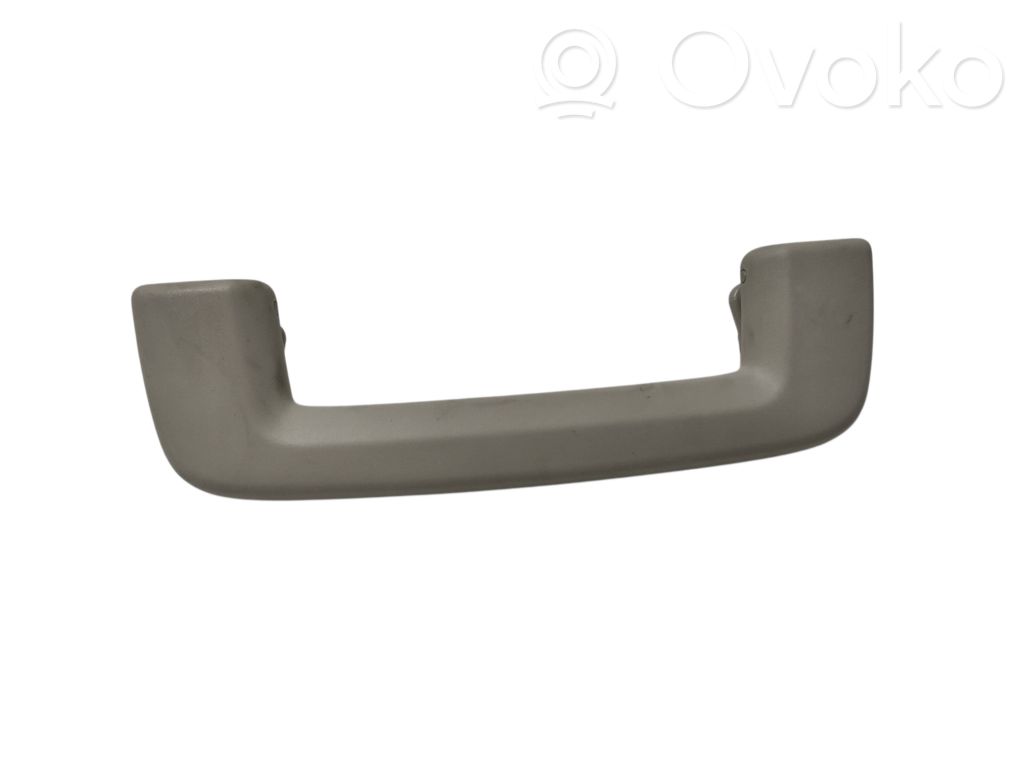 Asidero interior delantero