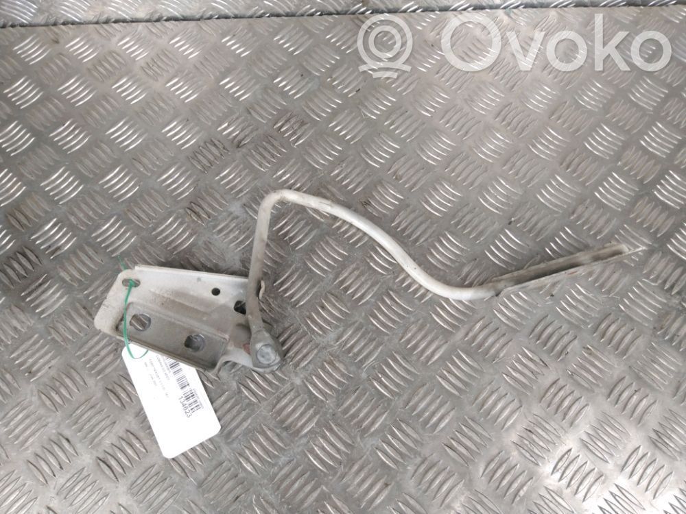 Ford Transit Dzinēja pārsega eņģe (-es) 