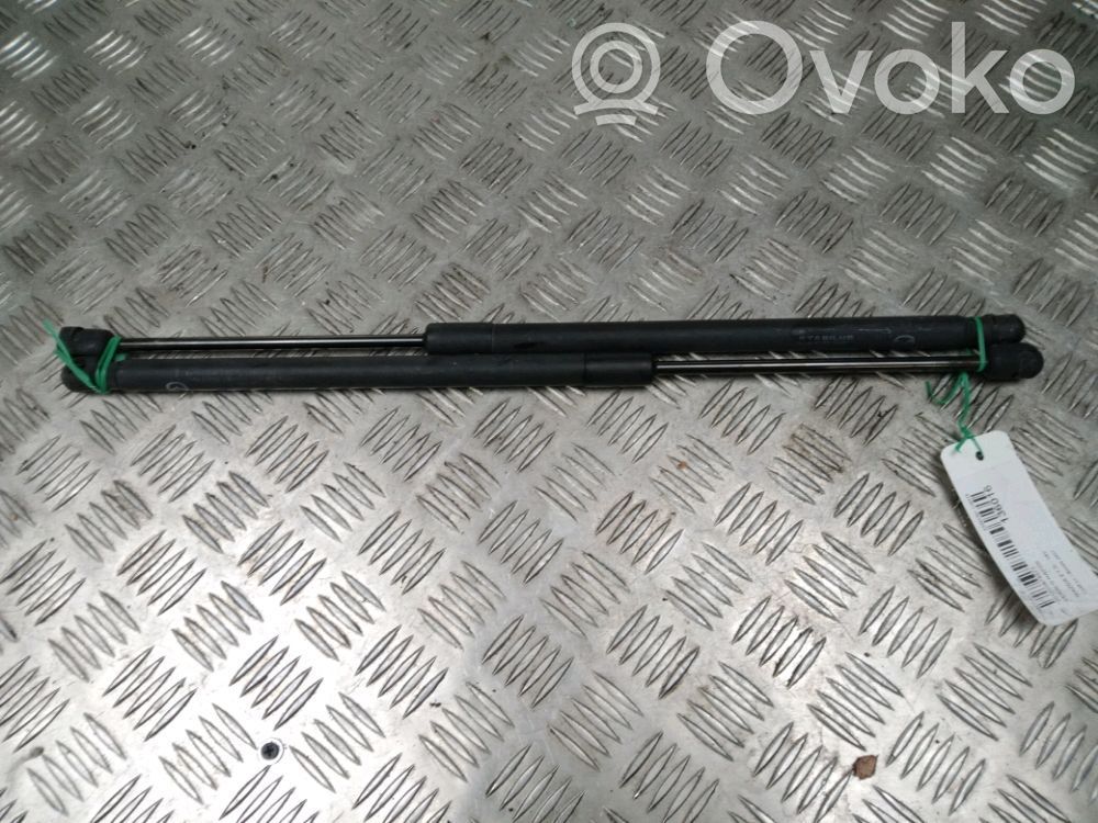 Tailgate/trunk strut/damper   D65162620A