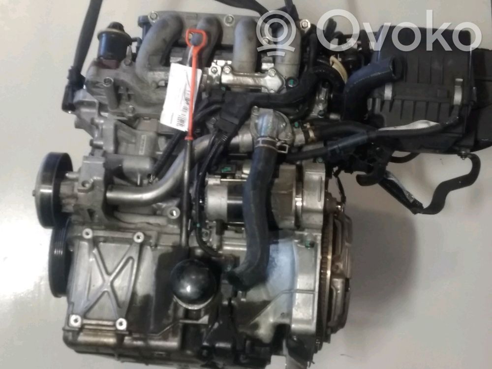 Motor