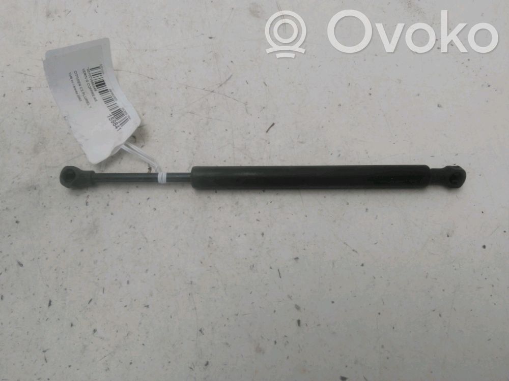 Citroen C3 Pluriel Amortizor hayon
