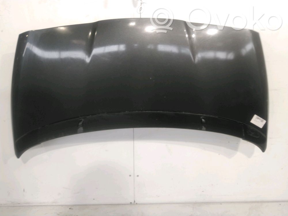 Motorhaube   7901R2