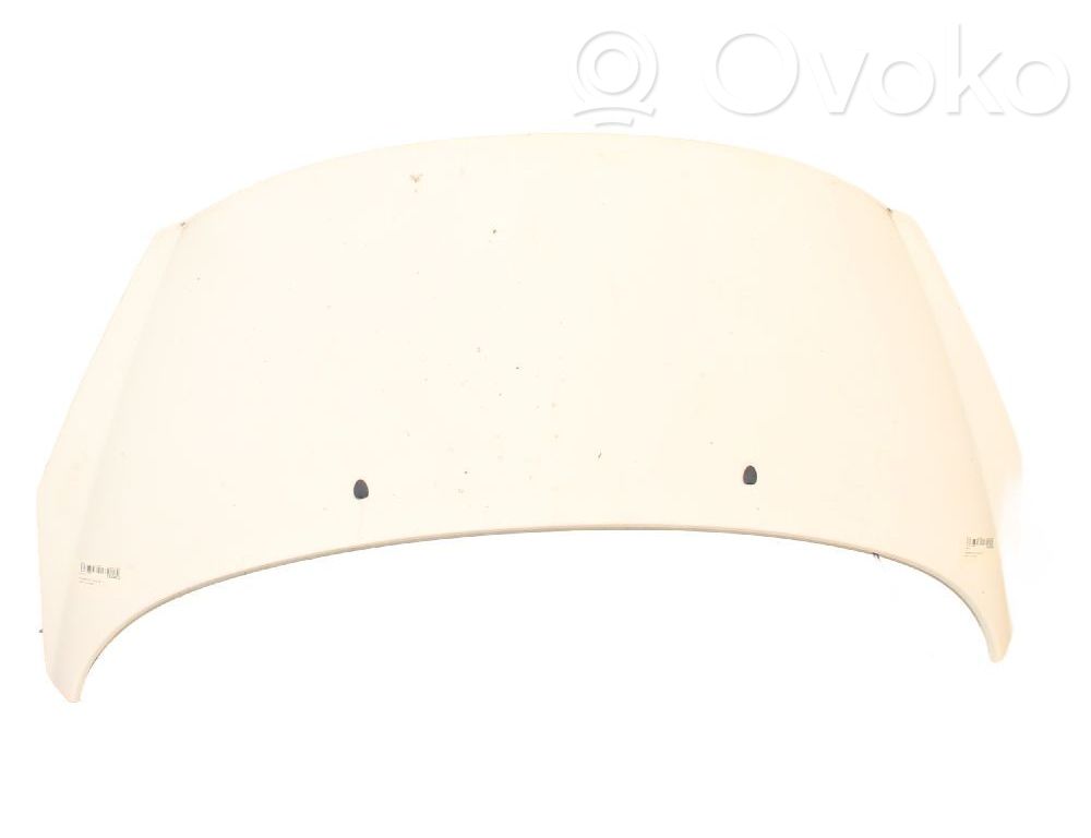 Motorhaube   7901N2