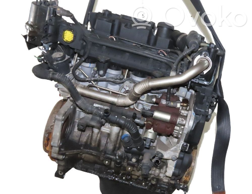 Motor   135FZ