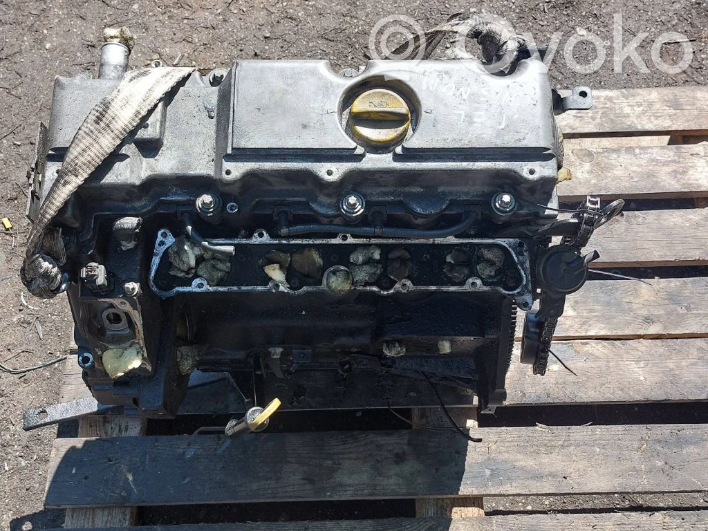 Opel Signum Motor 
