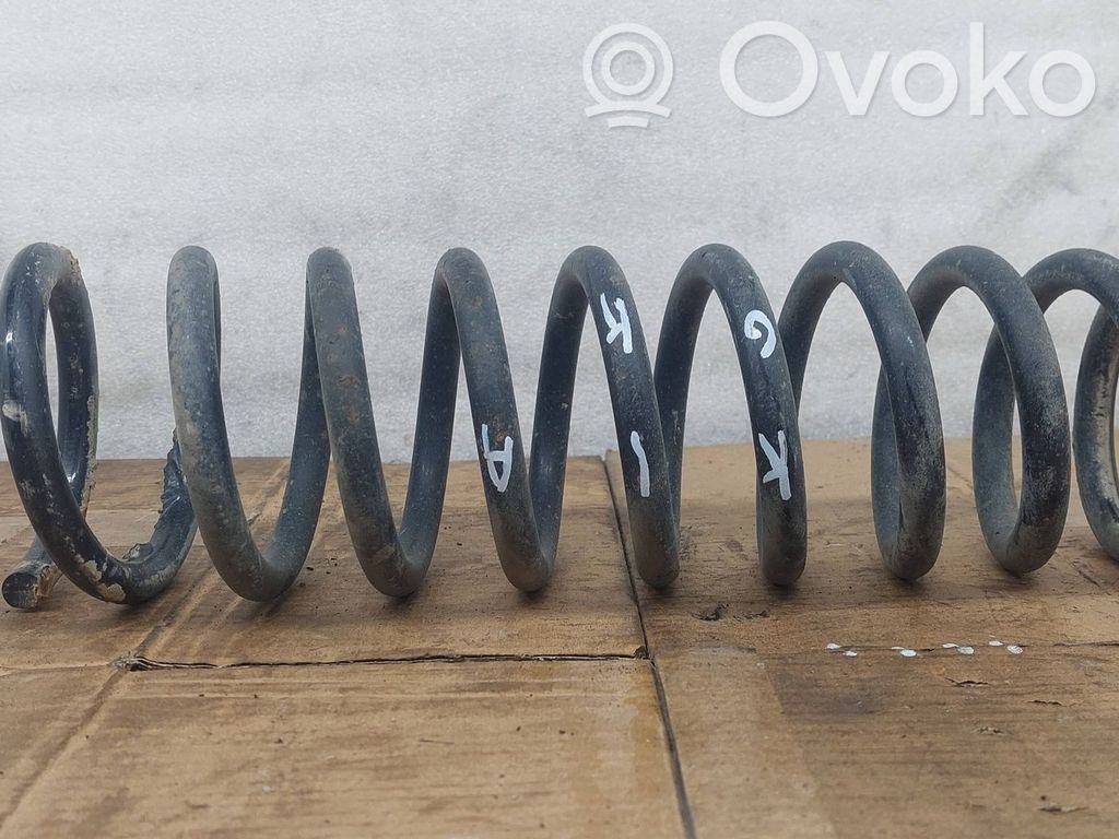 Rear coil spring