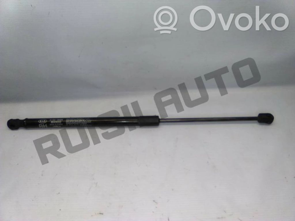 Tailgate/trunk strut/damper   817801W200