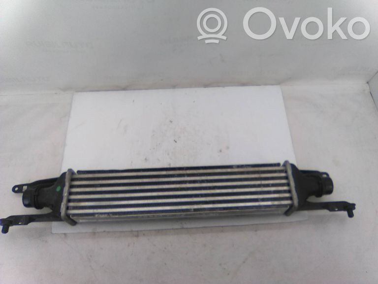 Intercooler radiator