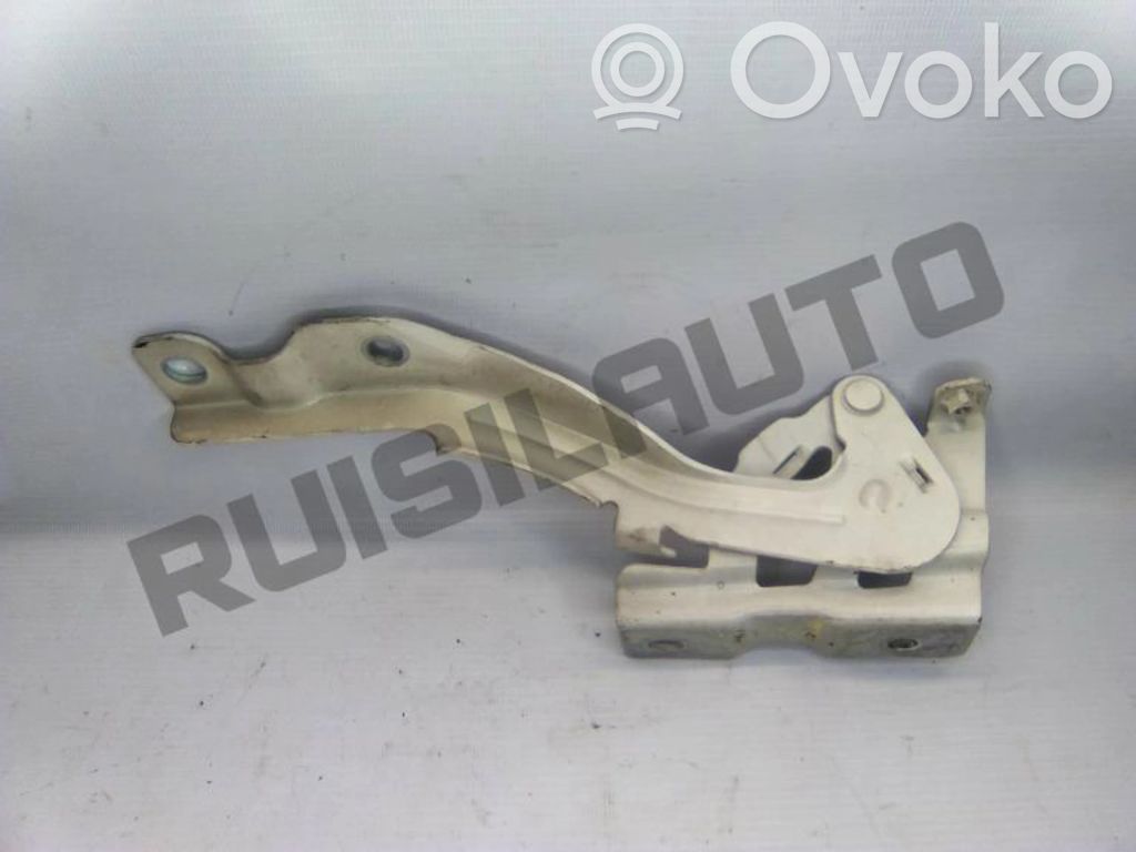 Engine bonnet/hood hinges