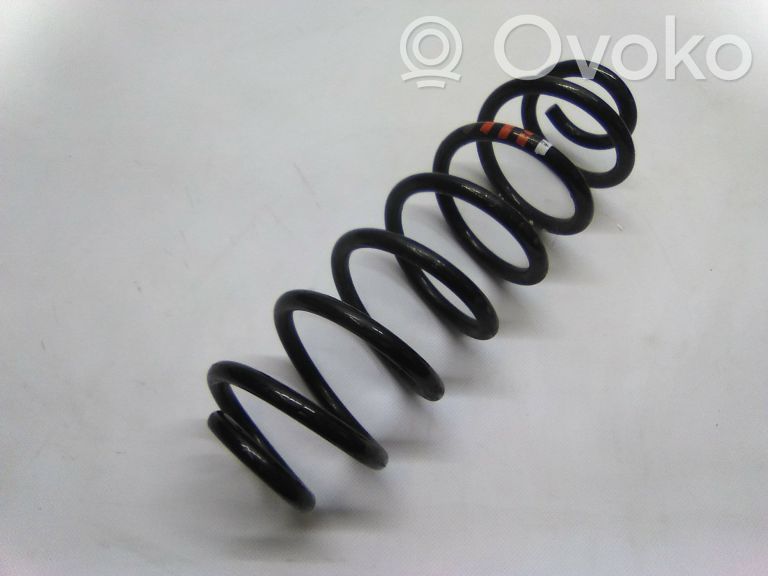 Rear coil spring