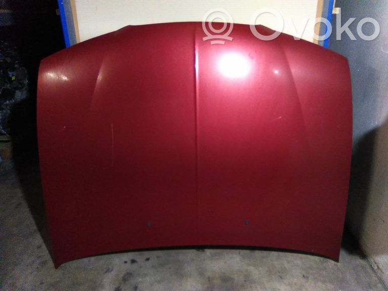 Motorhaube