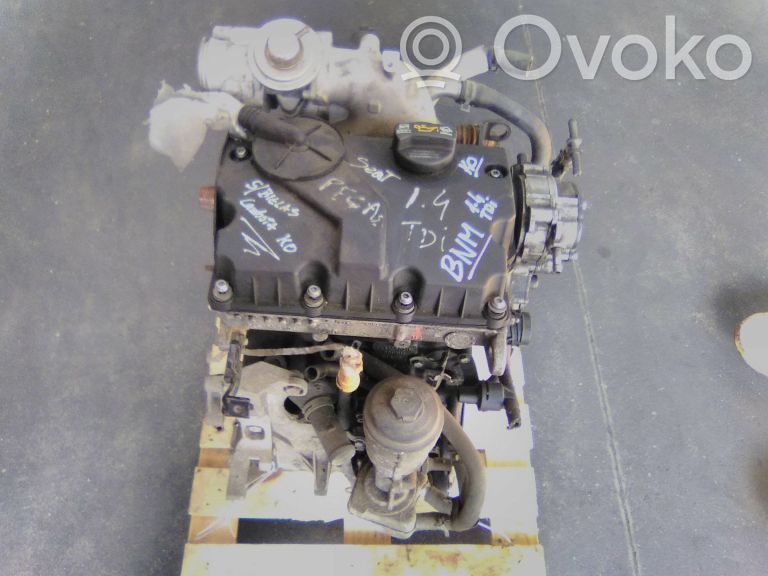 Seat Ibiza III (6L) Variklis 