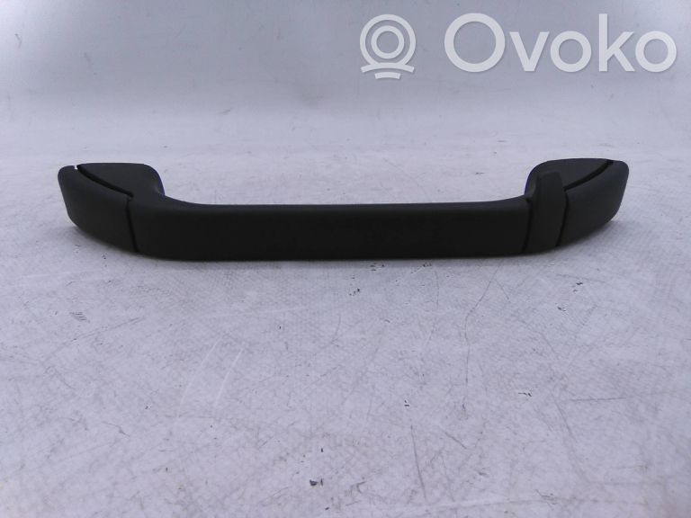 Asidero interior delantero   8196437