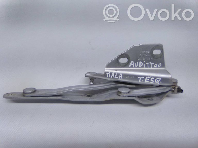 Audi TT Mk1 Tailgate hinge 