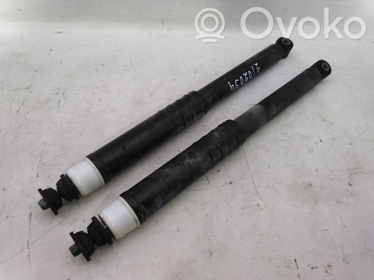 Stoßdämpfer hinten   5524055569R